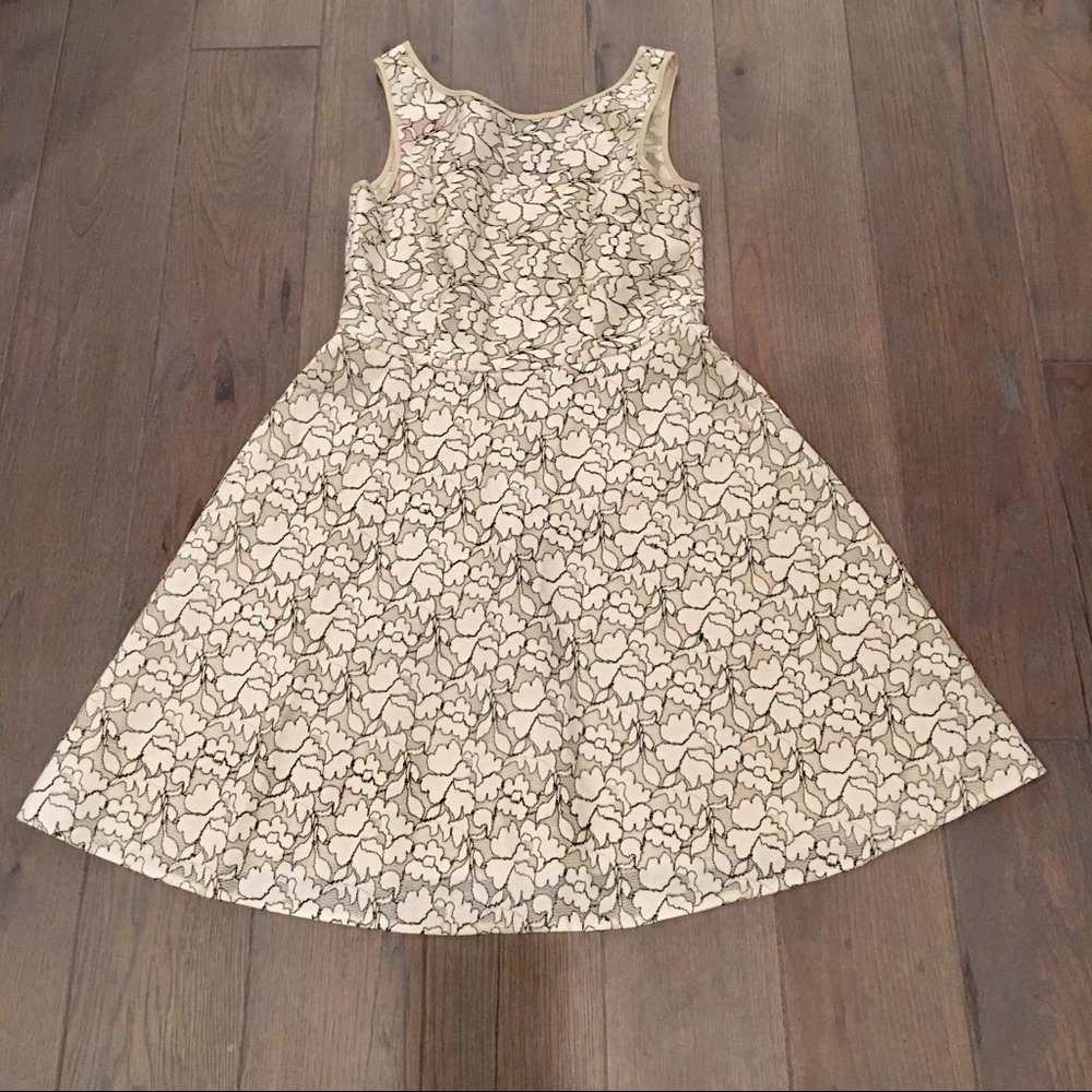 ❤️Betsy Johnson White/black Lace Fit & Flare Dress